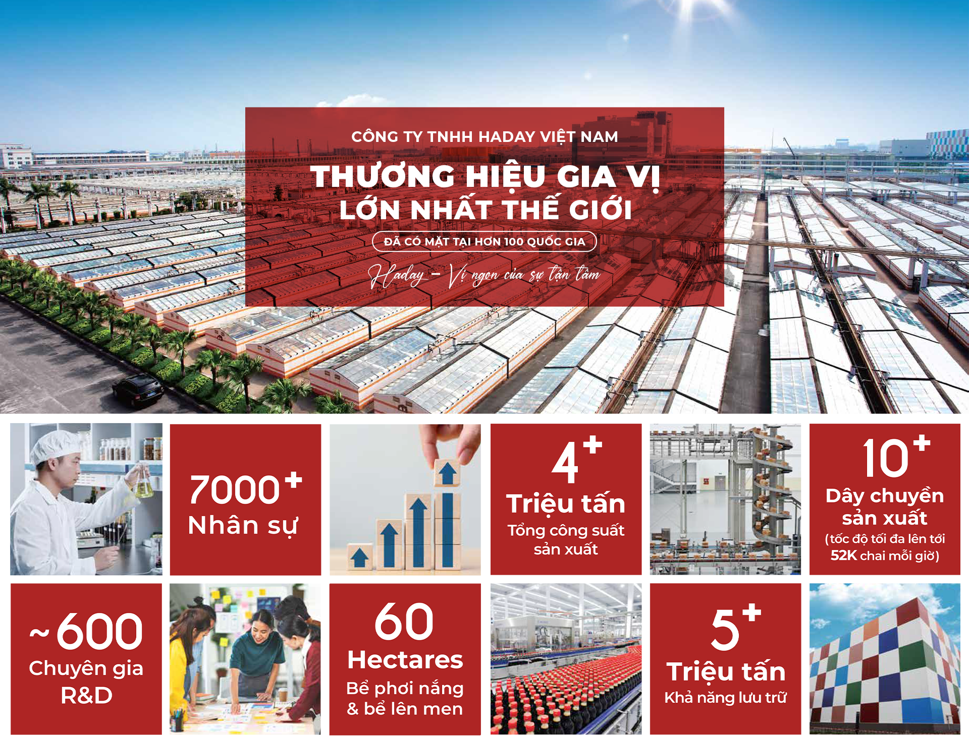 CÔNG TY TNHH HADAY VIỆT NAM