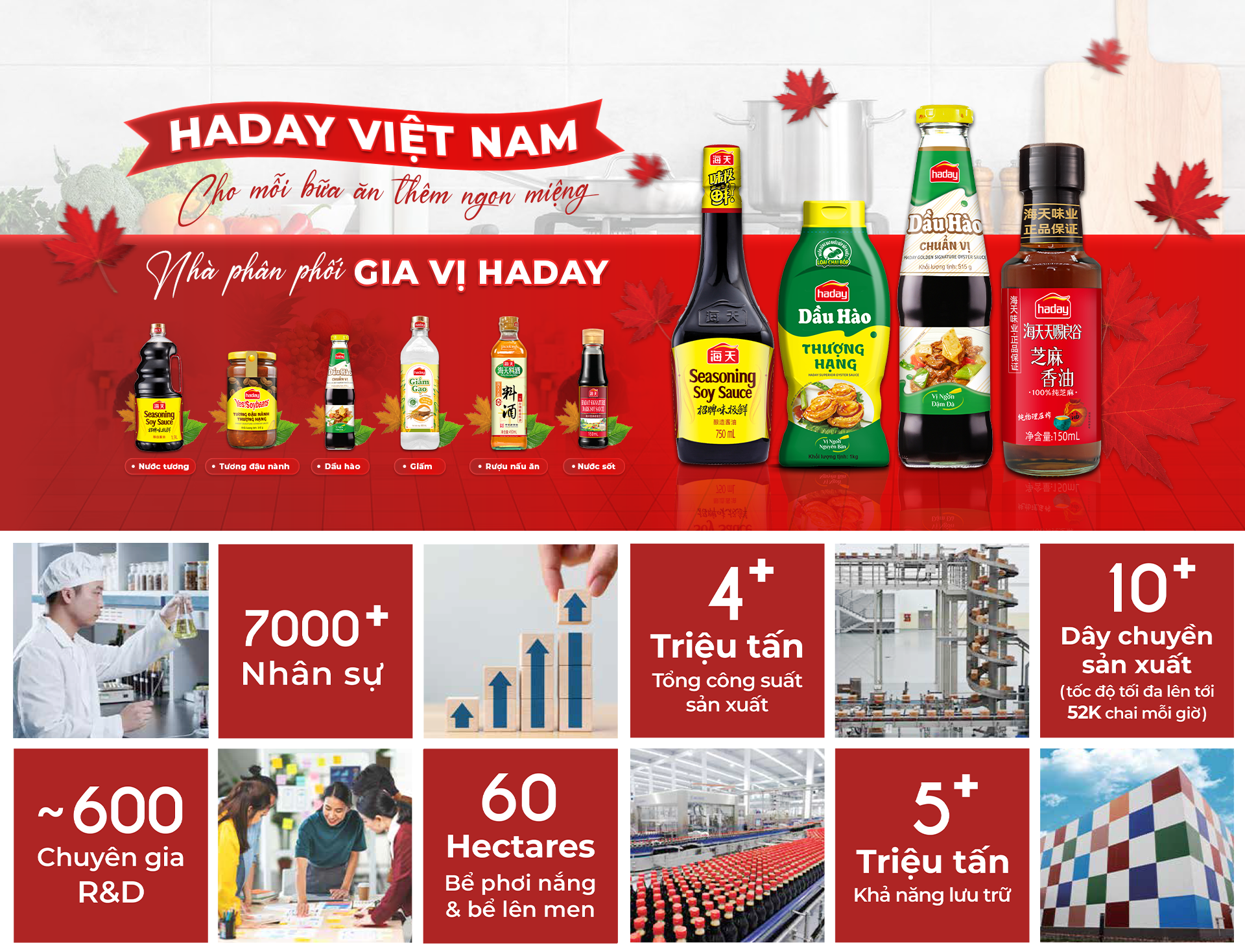 CÔNG TY TNHH HADAY VIỆT NAM