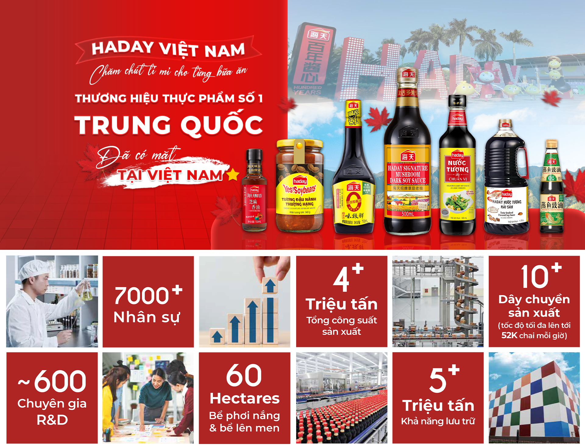 CÔNG TY TNHH HADAY VIỆT NAM