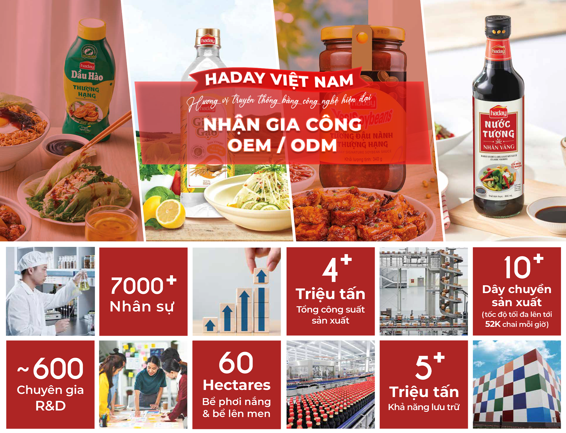 CÔNG TY TNHH HADAY VIỆT NAM